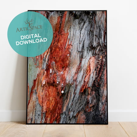 Photo  frames mockup